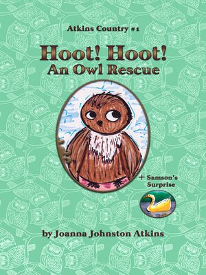 cover image of Hoot! Hoot! an Owl Rescue